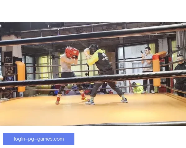 学习拳击技巧，提升实战水平