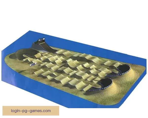 穿越惊险赛道：BMX大奖赛精彩纷呈