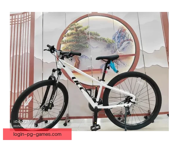 自行车入门指南：从选购到骑行技巧全攻略