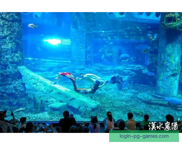 精彩纷呈!跳水风云:跃进梦幻水下世界 精彩纷呈!跳水风云:跃进梦幻水下世界