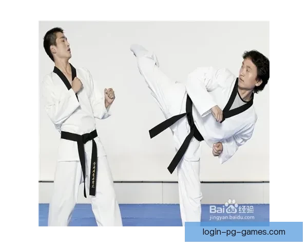 跆拳道教学视频精选教程大全