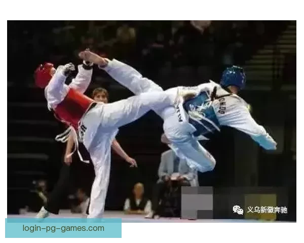 跆拳道冠军：巅峰之路及背后故事